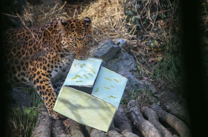 Božićni darovi životinjama u ZOO vrtu u Zagrebu