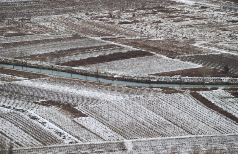 Vinogradi u Pojezerju prekriveni snijegom