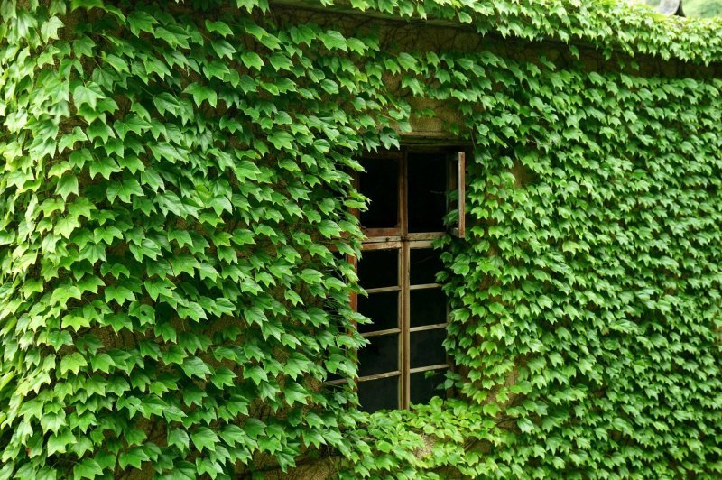 Napušteno selo na otoku Gouqi