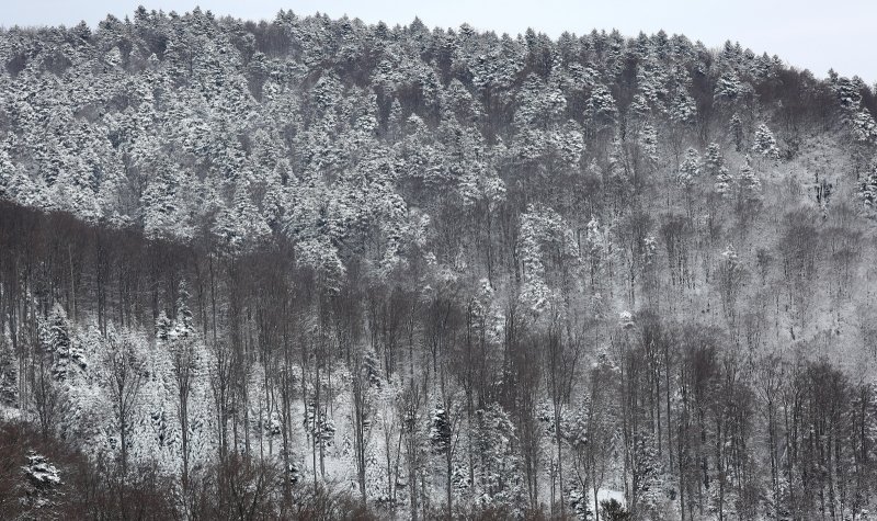 Snježna idila na Sljemenu