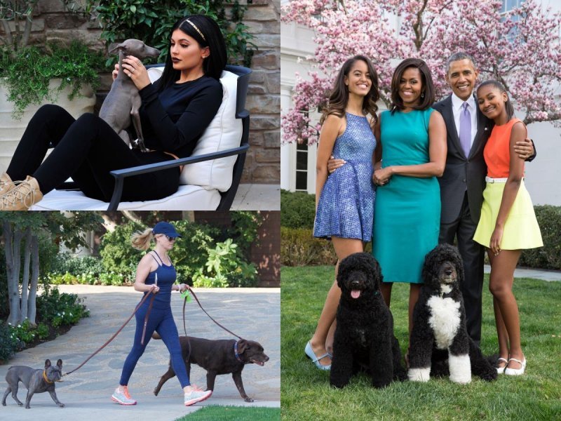 Kylie Jenner, obitelj Obama, Reese Witherspoon
