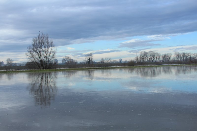 Sava se u Zagrebu izlila iz korita