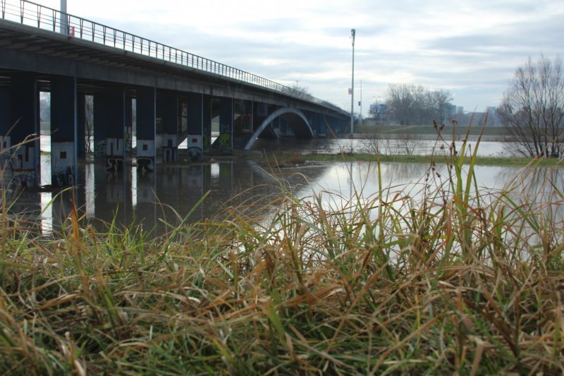 Sava se u Zagrebu izlila iz korita