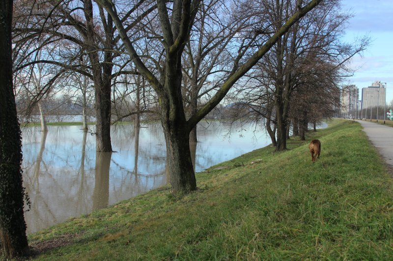 Sava se u Zagrebu izlila iz korita