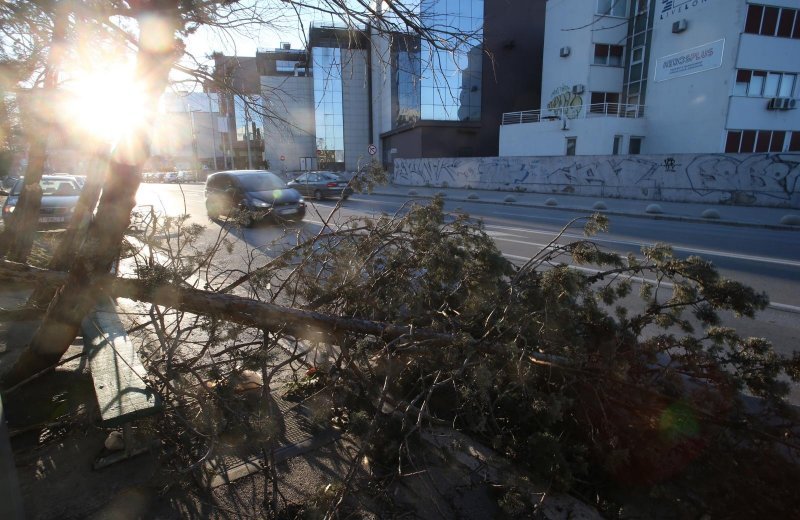 Split: Nakon olujnih udara bure najviše stradala stabla i drveni električni stupovi