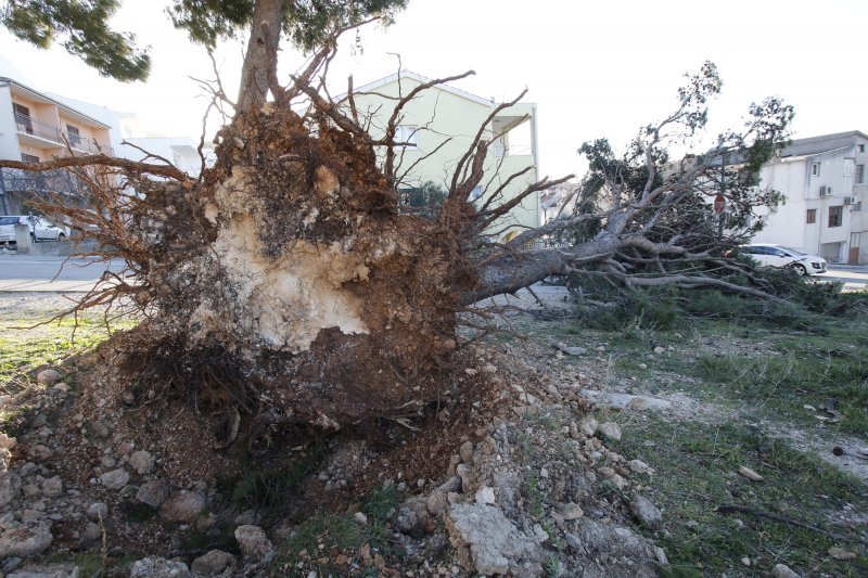 Makarska: Orkanska bura stvara smetnje u prometu i uzrokuje materijalnu štetu