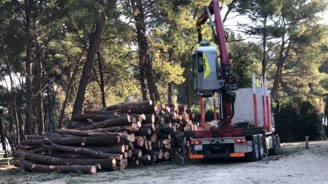 Split: Započeli radovi u Park šumi Marjan
