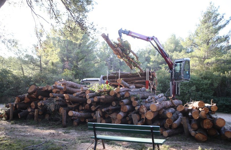 U Splitu započeli radovi u Park šumi Marjan