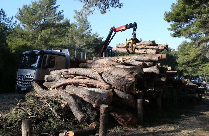 U Splitu započeli radovi u Park šumi Marjan