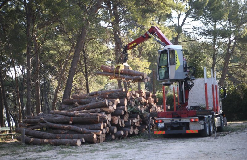 U Splitu započeli radovi u Park šumi Marjan