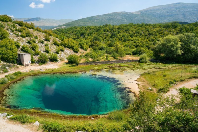 Virovi i rupe u zemlji