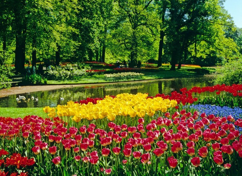 Keukenhof