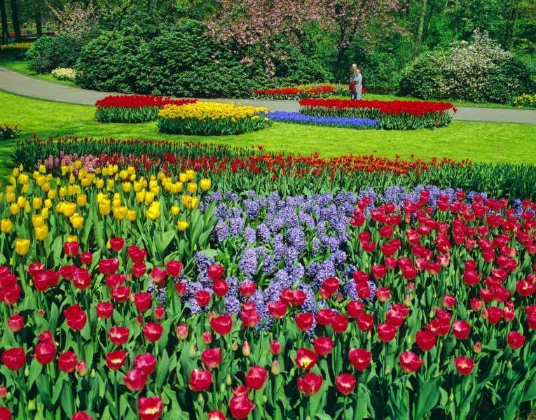 Keukenhof