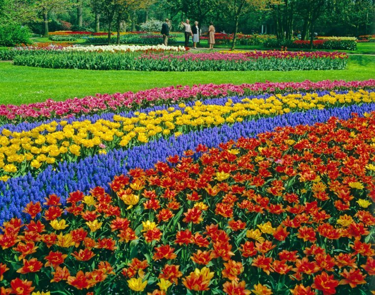 Keukenhof