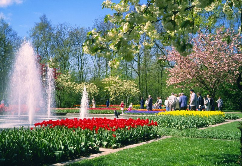 Keukenhof