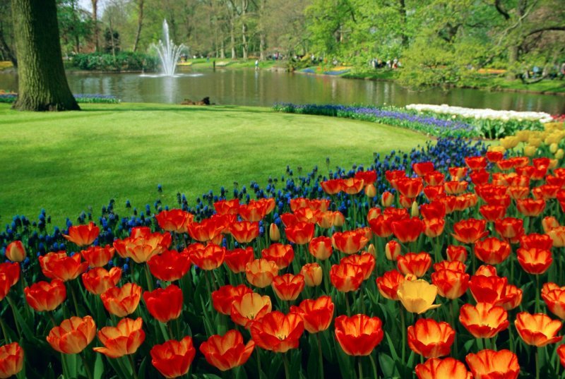 Keukenhof