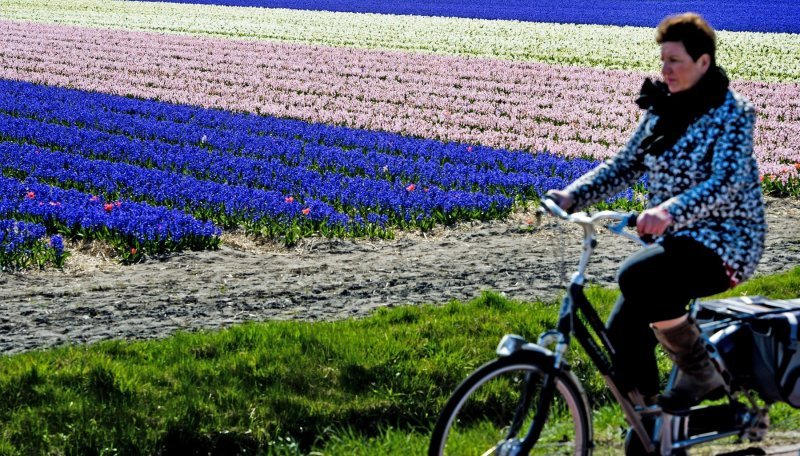 Keukenhof