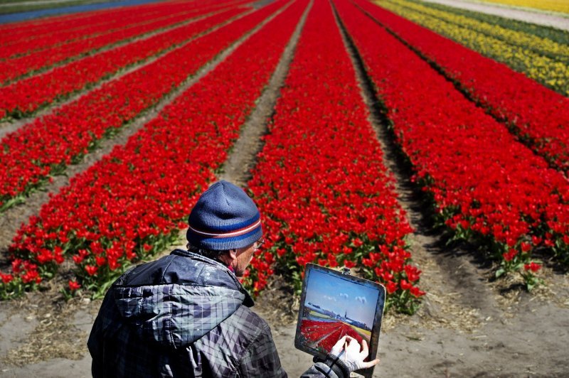 Keukenhof