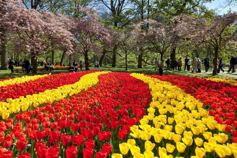 Keukenhof