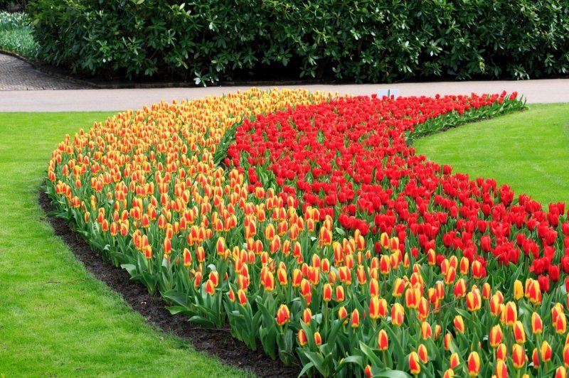 Keukenhof