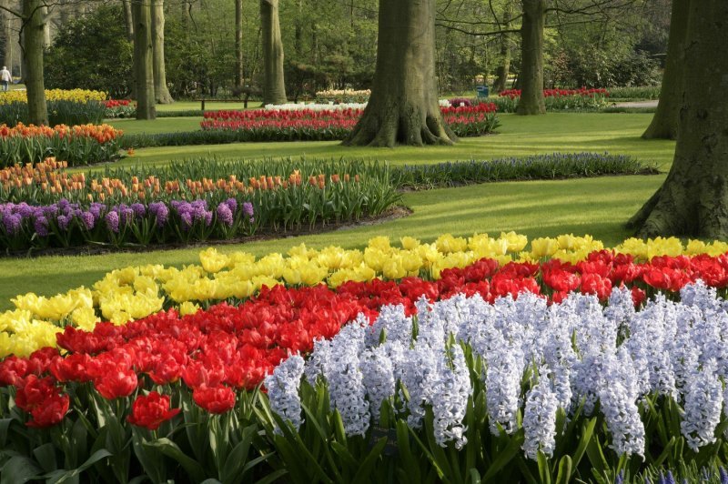 Keukenhof