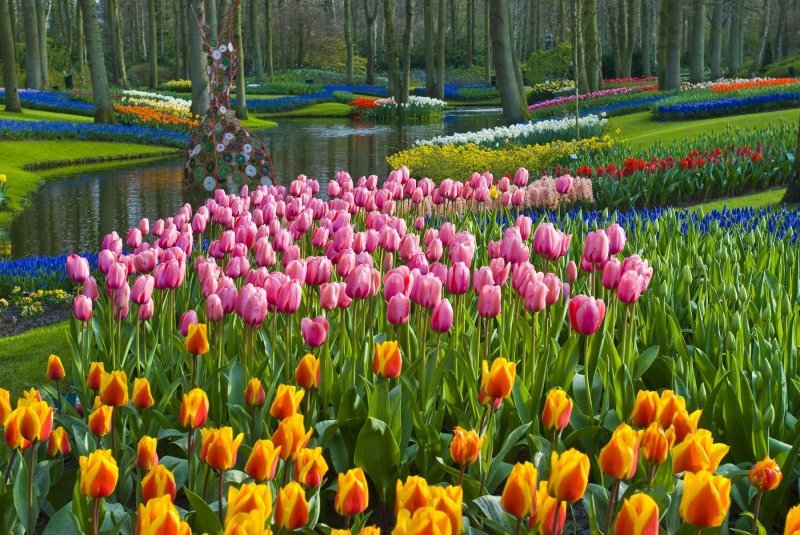 Keukenhof