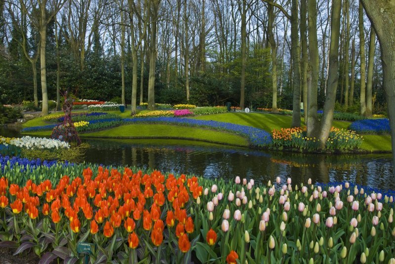 Keukenhof