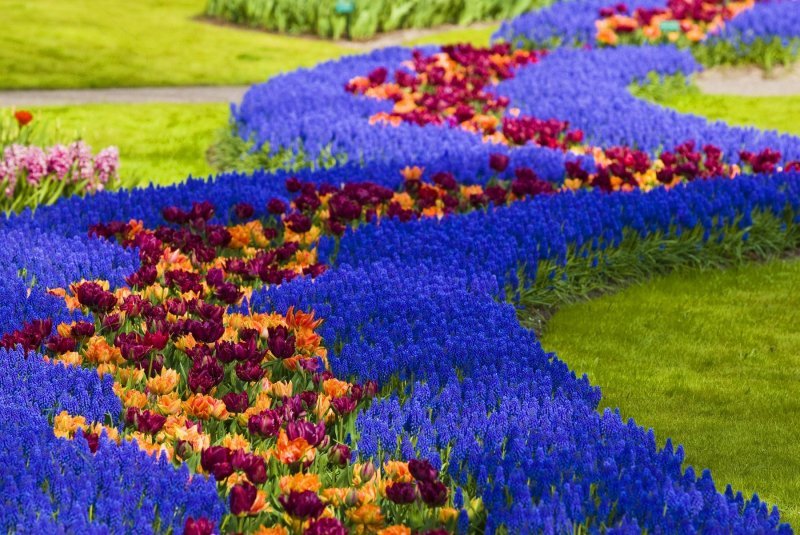 Keukenhof