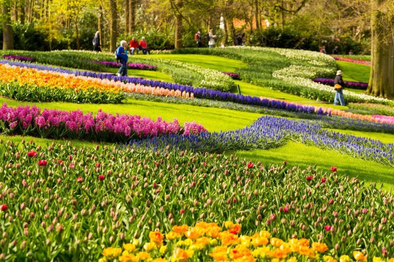 Keukenhof