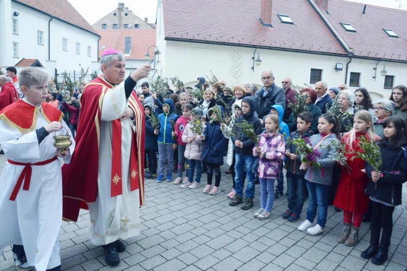 Sisak: Procesiju Cvjetnice i blagoslov maslinovih grančica predvodio biskup Vlado Košić