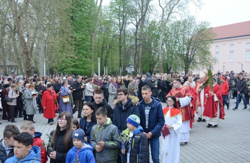 Sisak: Procesiju Cvjetnice i blagoslov maslinovih grančica predvodio biskup Vlado Košić