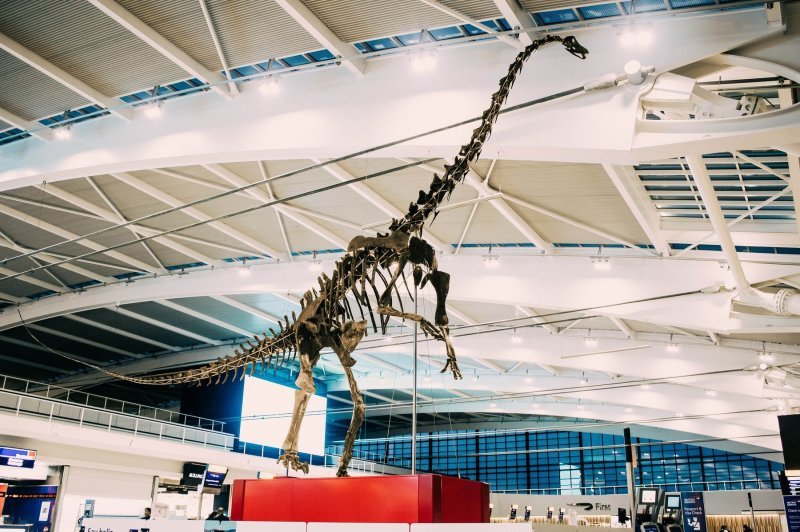 Dinosaur Skinny u zračnoj luci Heathrow