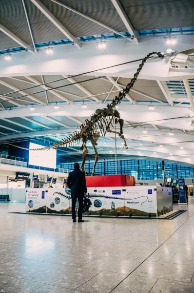 Dinosaur Skinny u zračnoj luci Heathrow