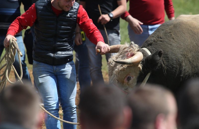 Dicmo: 15. bikijada braće Kokan
