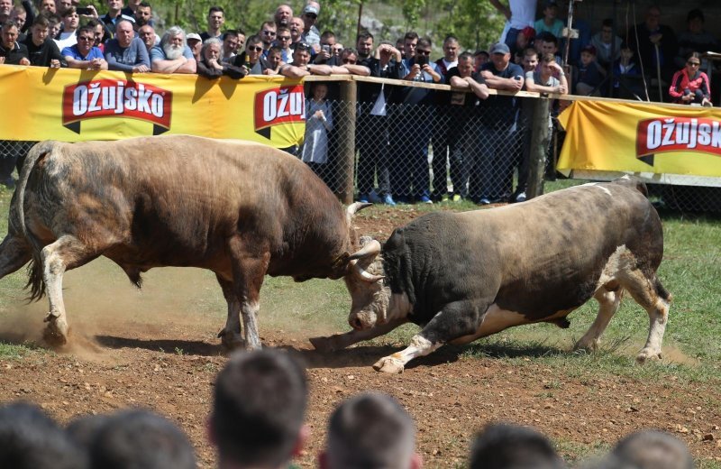 Dicmo: 15. bikijada braće Kokan