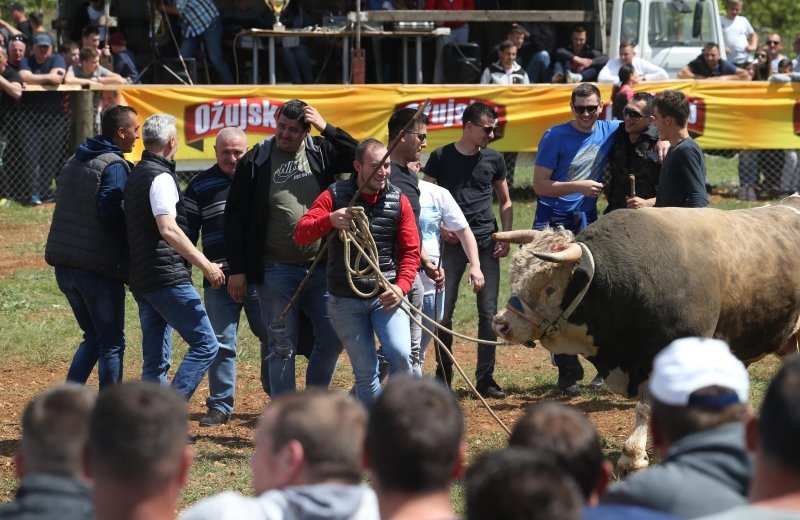 Dicmo: 15. bikijada braće Kokan