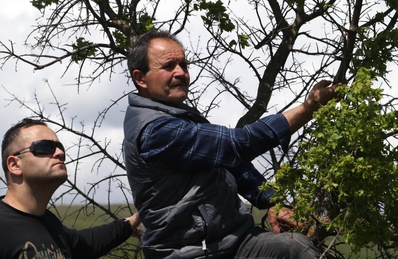 Dicmo: 15. bikijada braće Kokan