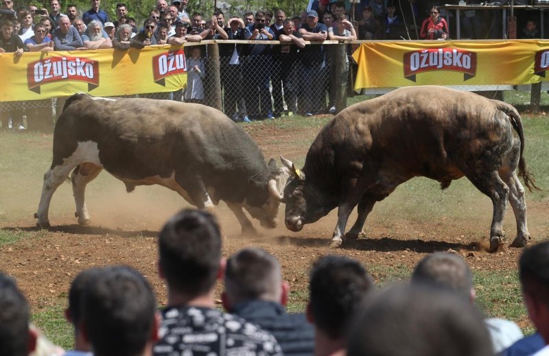 Dicmo: 15. bikijada braće Kokan