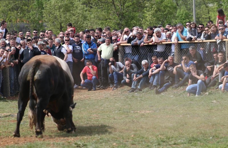 Dicmo: 15. bikijada braće Kokan