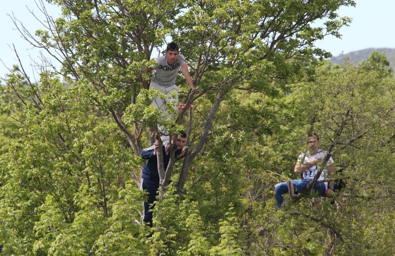 Dicmo: 15. bikijada braće Kokan