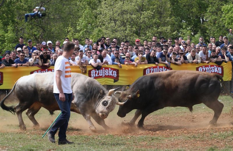 Dicmo: 15. bikijada braće Kokan