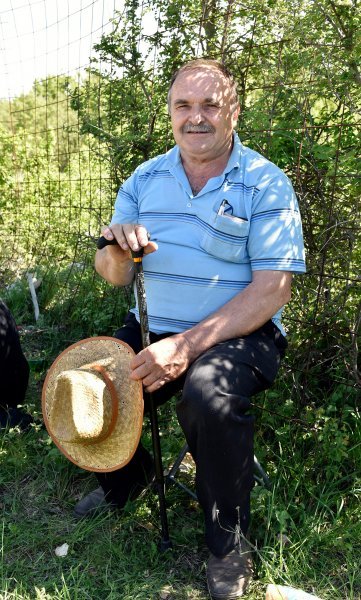 Bože Mikelić