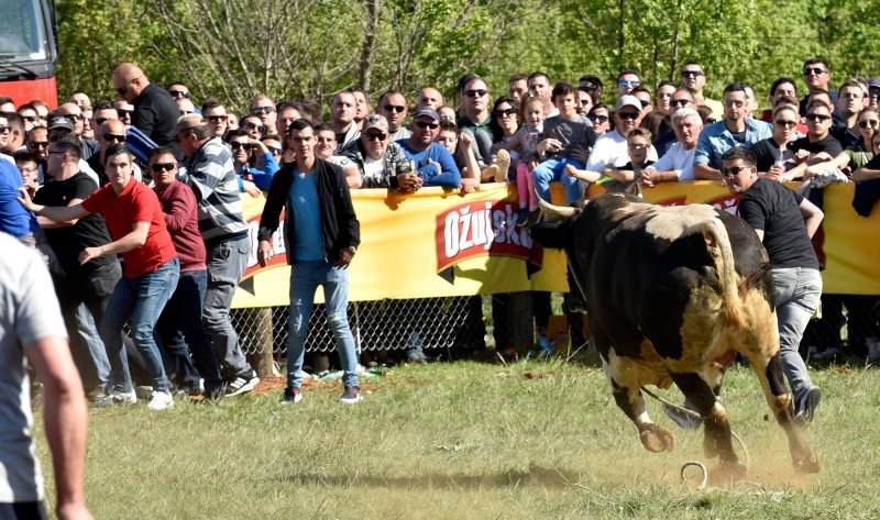 Dicmo: 15. bikijada braće Kokan
