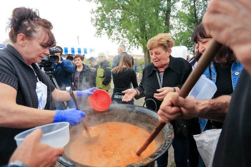 Osijek: Proslava Međunarodnog praznika rada na lijevoj obali rijeke Drave