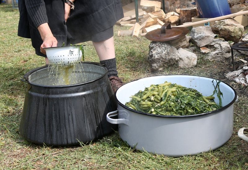 Vodice: Tradicionalni prvosvibanjski piknik u Rakitnici