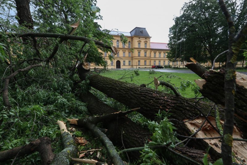 Vjetar srušio stoljetna stabla u dvorištu psihijatrijske bolnice Vrapče