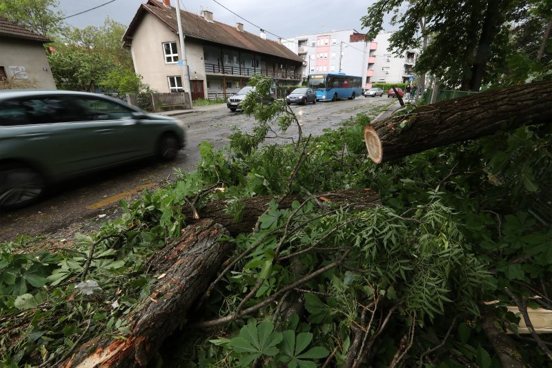 Vjetar srušio stoljetna stabla u dvorištu psihijatrijske bolnice Vrapče