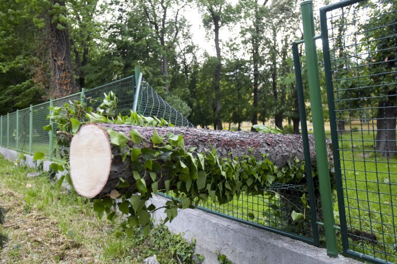 Nevrijeme u Zagrebu