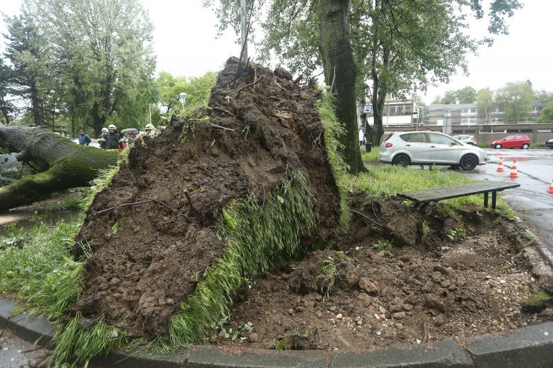 Razbijeni automobili u Sopotu