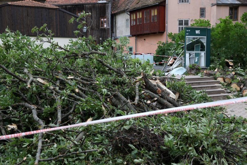 Srušeno stablo na javni WC u Cesarčevoj